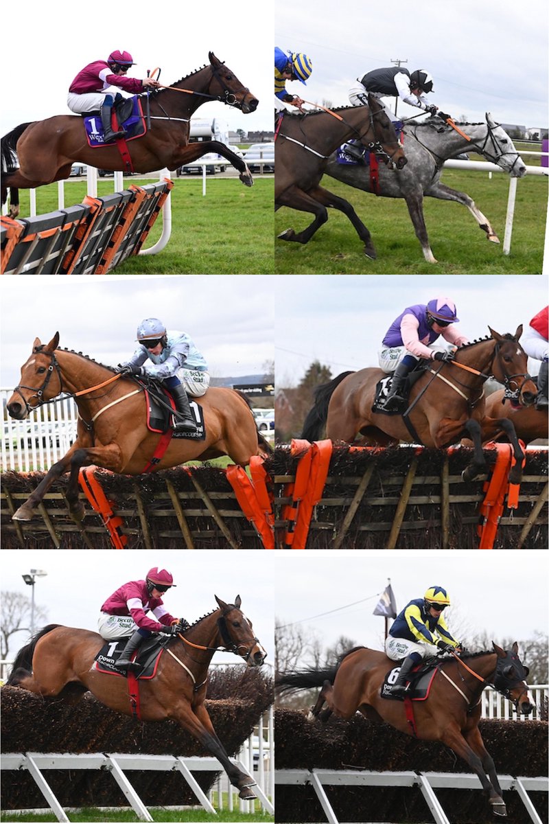 Gordon Elliott (@gelliott_racing) on Twitter photo An unbelievable day for the team with six winners between <a href="/Downroyal/">Down Royal Racecourse</a> & <a href="/WexfordRacecour/">Wexford Racecourse</a>
Congratulations to connections of Speculatrix, Theflyingking, Timmy Tuesday, Cher Tara, Favori De Champdou & Lightkeeper 🍀
📸Healy Racing An unbelievable day for the team with six winners between <a href="/Downroyal/">Down Royal Racecourse</a> & <a href="/WexfordRacecour/">Wexford Racecourse</a>
Congratulations to connections of Speculatrix, Theflyingking, Timmy Tuesday, Cher Tara, Favori De Champdou & Lightkeeper 🍀
📸Healy Racing