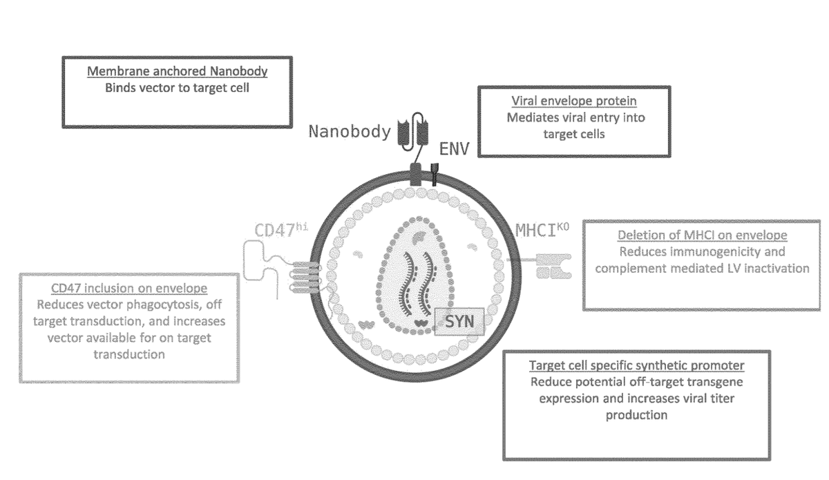 AppleHelix's tweet photo. There is only 1 patent filing published by EsoBiotec:

Key innovations
- T-cell specific promoter (excl license fr Chromatin)
- CD47 to reduce phagocytosis (from observation that aCD47 enhances phagocytosis)
- Deletion of MHCI to reduce immunogenicity

https://t.co/7sNEm7jzEf https://t.co/kywy5dSnui