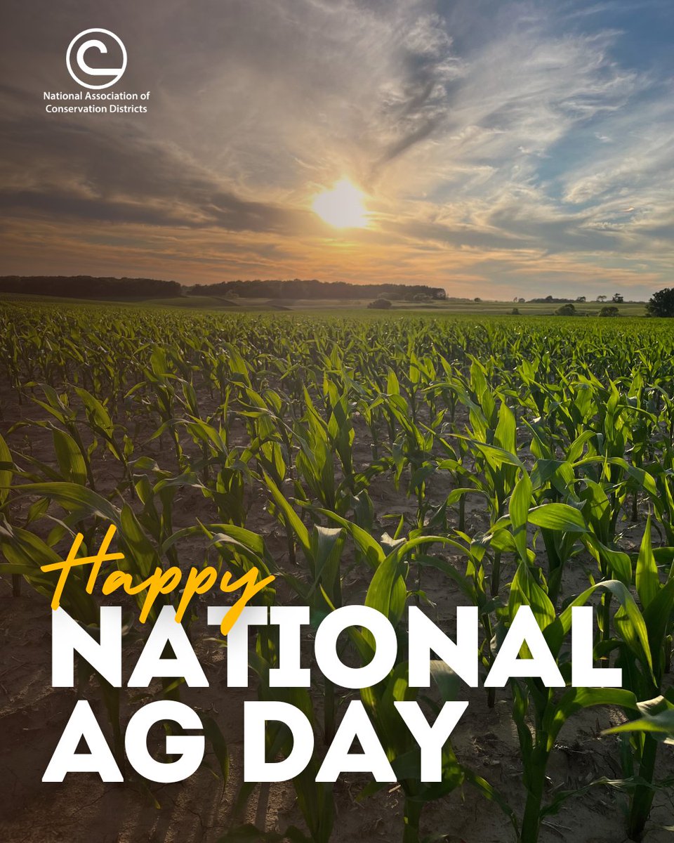 Happy National Agriculture Day!🌱🚜

Our country's soil and water are its most precious resources. Today, we celebrate the people and organizations that work every day to protect them.

We are proud to work with such a dedicated group to promote locally led conservation. #AGDay25