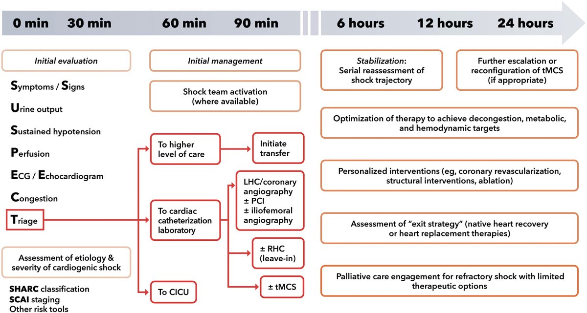 JACC Journals (@jaccjournals) on Twitter photo First <a href="/ACCinTouch/">American College of Cardiology</a> Concise Clinical Guidance (CCG) streamlines processes for implementing best practices in patient care. This CCG focuses on evaluating & managing #cardiogenicshock, answering 🔑 clinical questions & providing actionable guidance. jacc.org/doi/10.1016/j.… #JACC First <a href="/ACCinTouch/">American College of Cardiology</a> Concise Clinical Guidance (CCG) streamlines processes for implementing best practices in patient care. This CCG focuses on evaluating & managing #cardiogenicshock, answering 🔑 clinical questions & providing actionable guidance. jacc.org/doi/10.1016/j.… #JACC