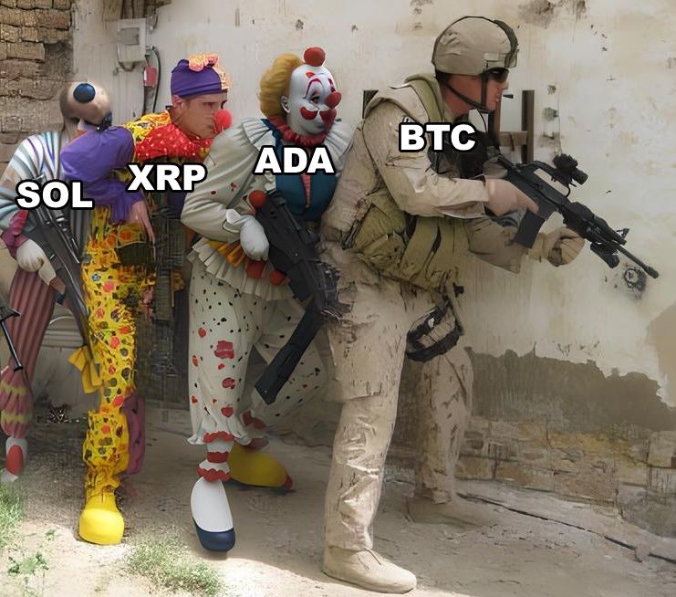 Navigator For Drophunters (@nfd_gg) on Twitter photo the US strategic crypto reserve 💁♂️ the US strategic crypto reserve 💁♂️