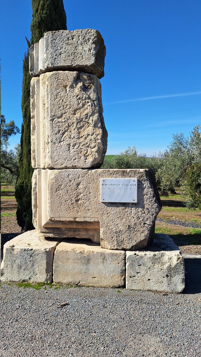 Teresa Reyna tweet media