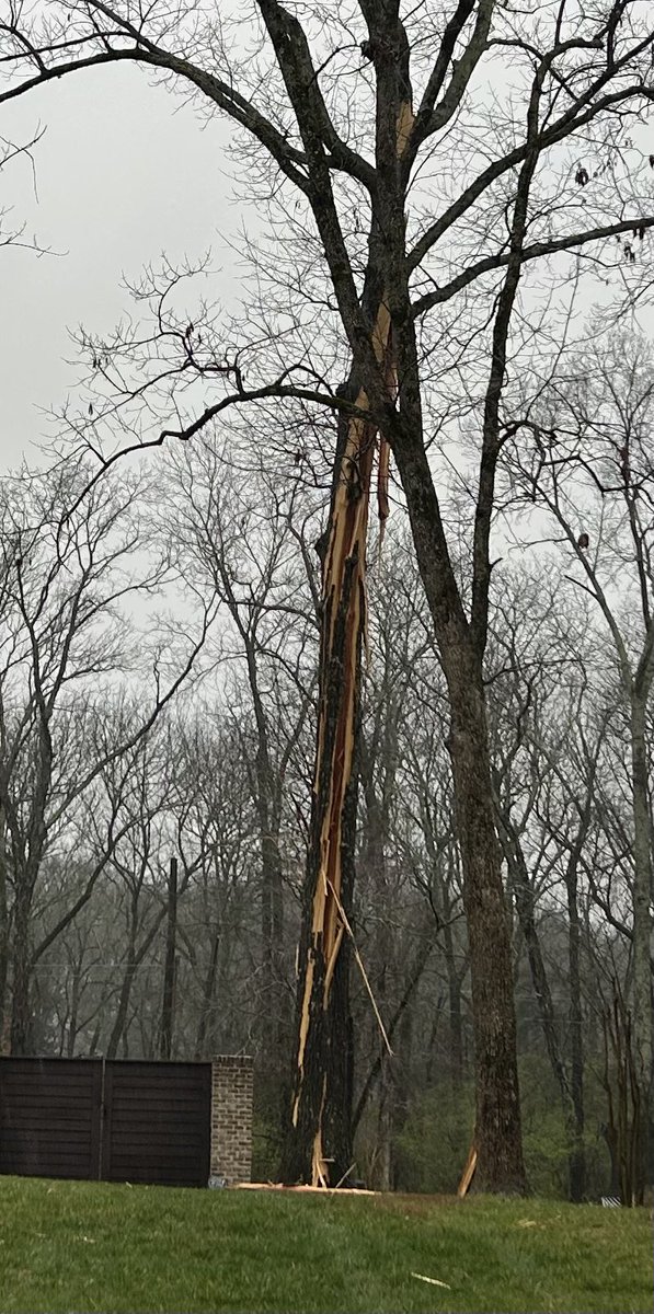 GTOScojo's tweet photo. @NashSevereWx Lightning struck a tree in my yard on Saturday morning then proceeded to work its way via the ground and took out pool pumps, irrigation boxes and various electronics in my house. https://t.co/ECKcJplRJ0