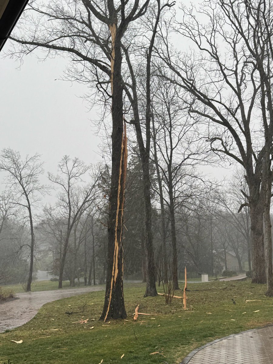 GTOScojo's tweet photo. @NashSevereWx Lightning struck a tree in my yard on Saturday morning then proceeded to work its way via the ground and took out pool pumps, irrigation boxes and various electronics in my house. https://t.co/ECKcJplRJ0