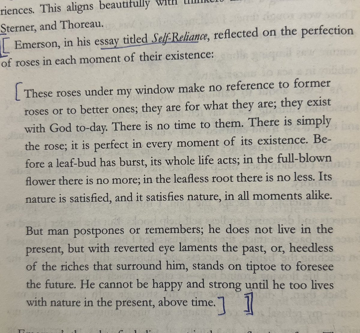 prats013's tweet photo. #books #wisdom #reading #rose #Happy #burst #reliance #nature #moments https://t.co/lQXcShcMOh