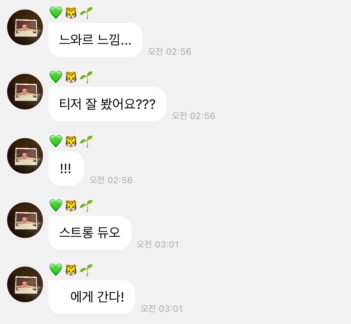 스트롱 듀오 🐻🐯