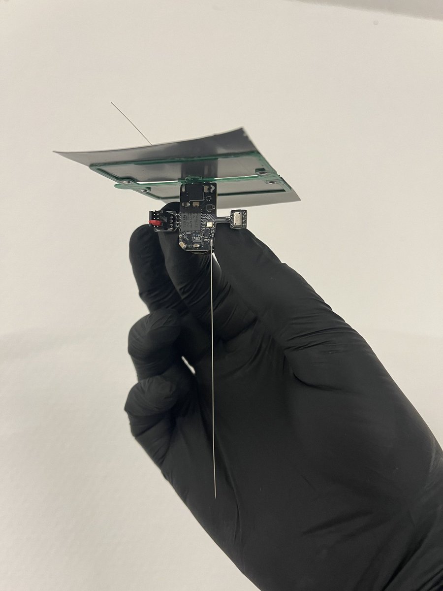 Heliotics🎈 tweet media