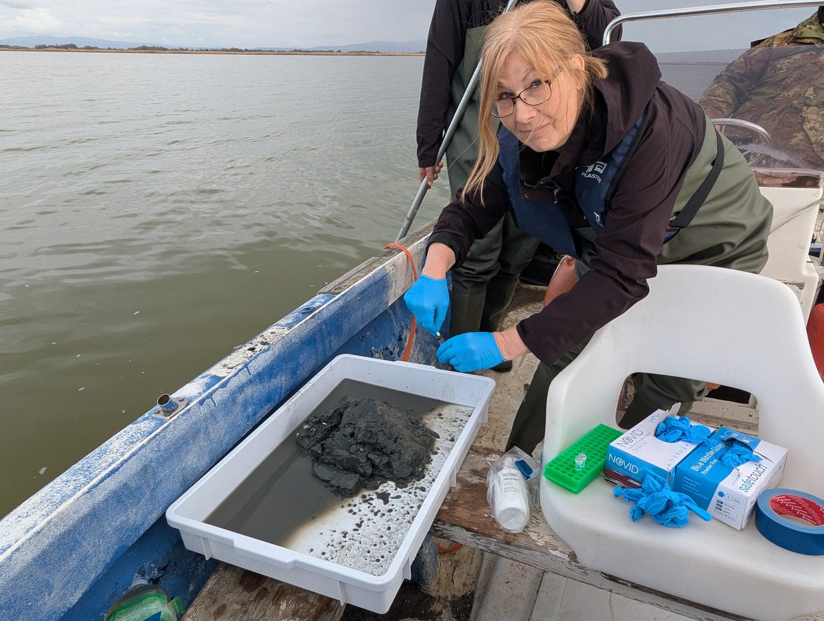 area52lab tweet media