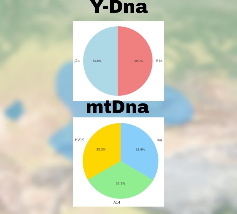 Karabasanbey1's tweet photo. Genetic Orgins Of Turgesh(Oghuz) n=3 #Fyp #Turgesh #Oghuz #Genetics https://t.co/HTdy959Z0t