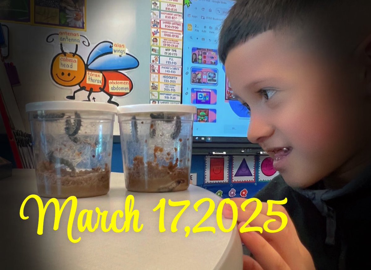 Prek students are ready to learn about the life cycle of a butterfly <a href="/BrosnahanES/">Brosnahan Elementary</a> 🦋and what better way than with real world connections.