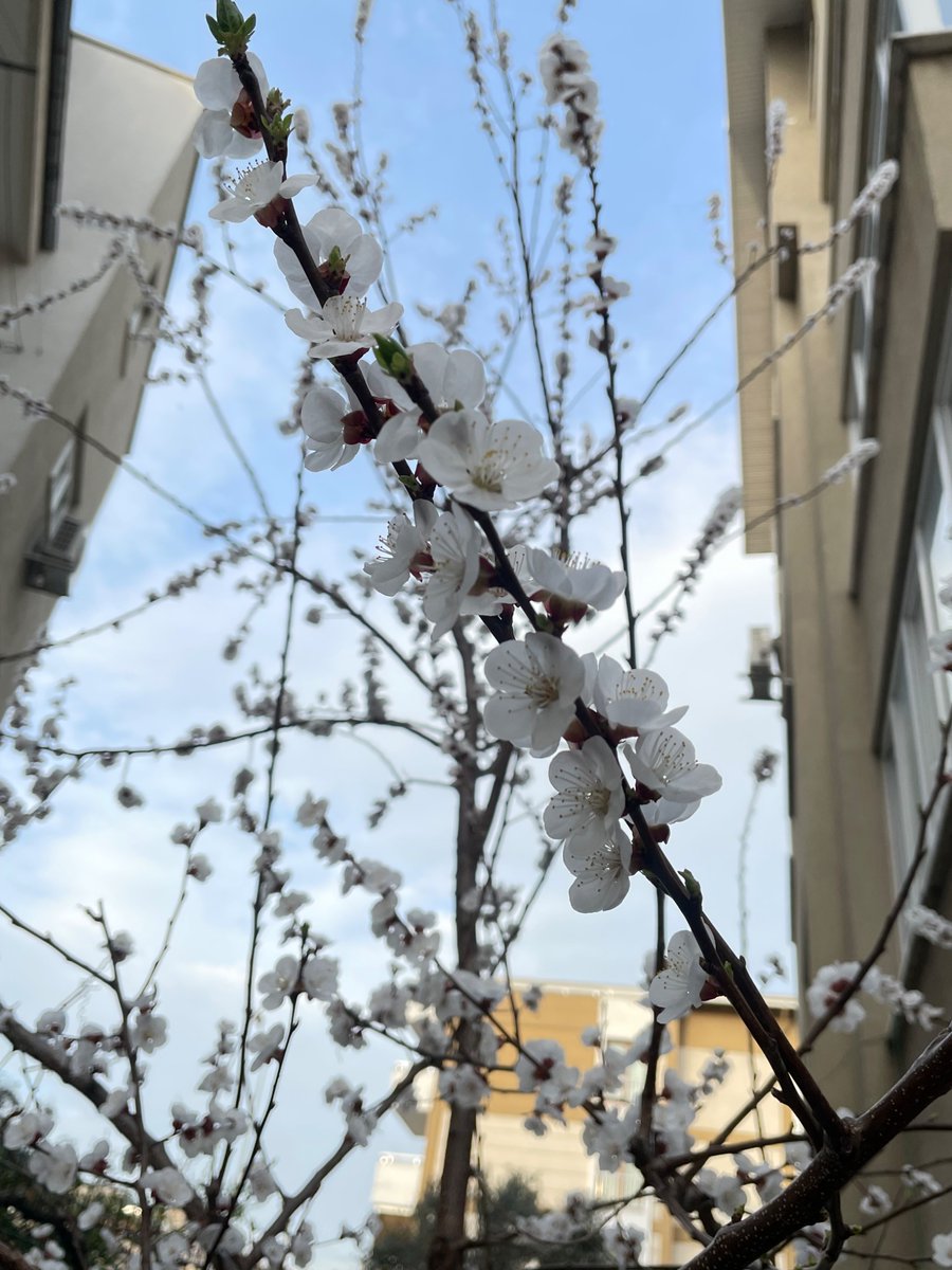 Bahar… Baharrr .. Bahar için milyon şükür