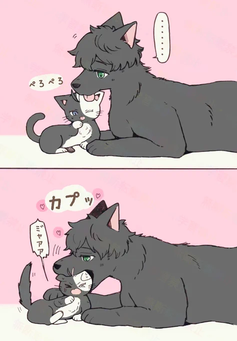 再掲
かめさく 
