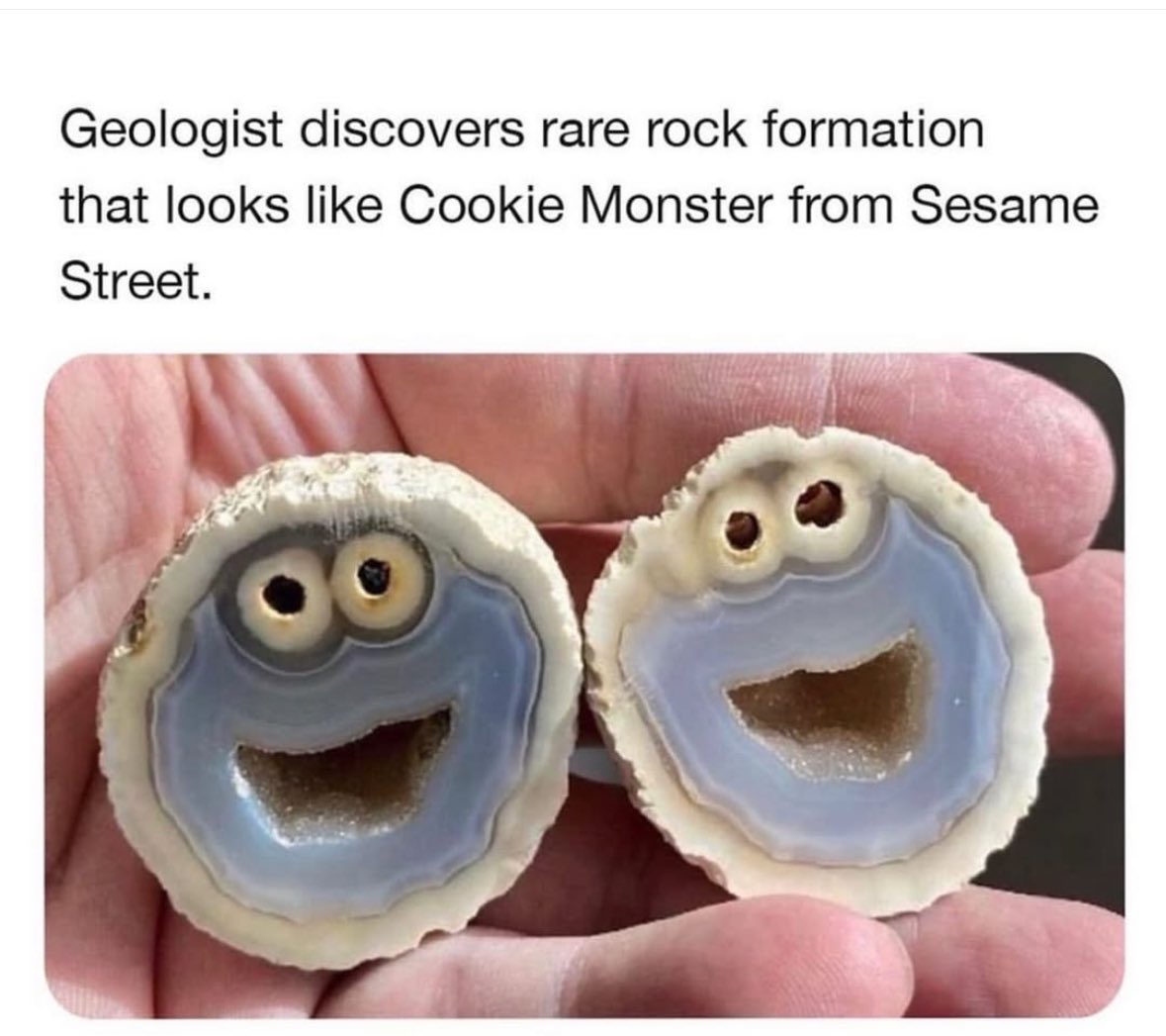 stcookie's tweet photo. Awwn nom nom. Rock. https://t.co/1UX9HJx9SW