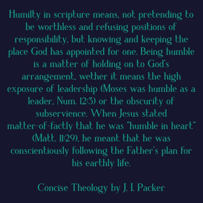 Our men are currently reading "Concise Theology" by J. I. Packer.
