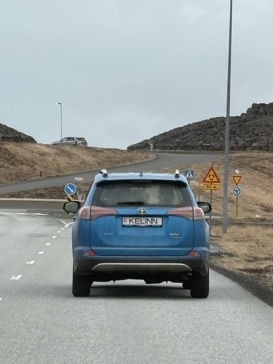 Það sást til kattarins í innri njarðvík