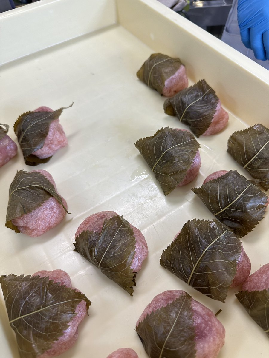 新作の桜いきなり団子完成しました！
桜の季節の期間限定で熊本駅店で販売します！
#いきなり団子
#さくらいきなり団子