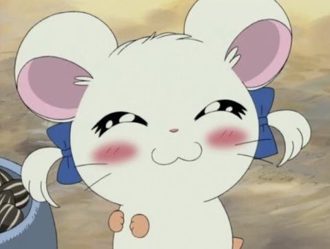 piinkimi_'s tweet photo. she’s so me https://t.co/sUpfLExQp2