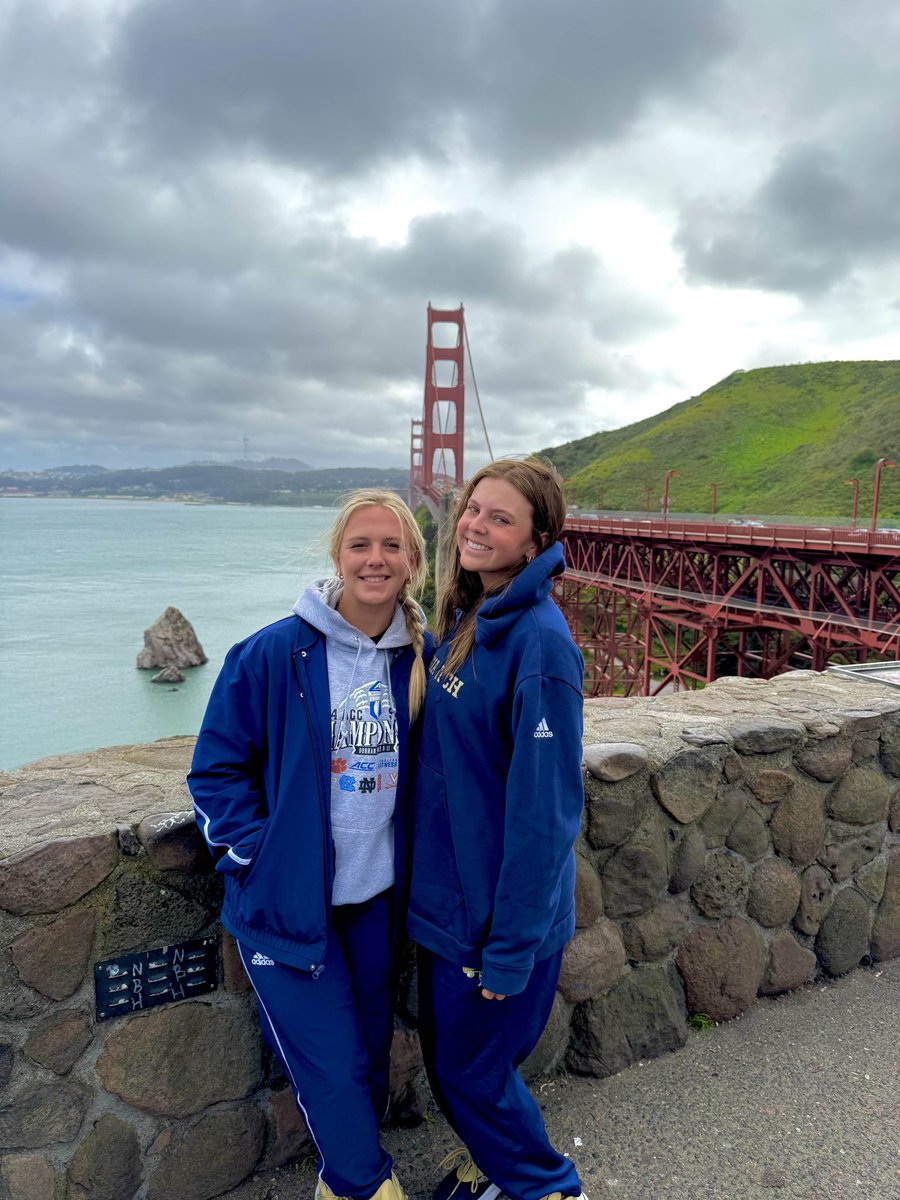 Adding a touch of Tech Gold to San Francisco 🌁

#StingEm 🐝