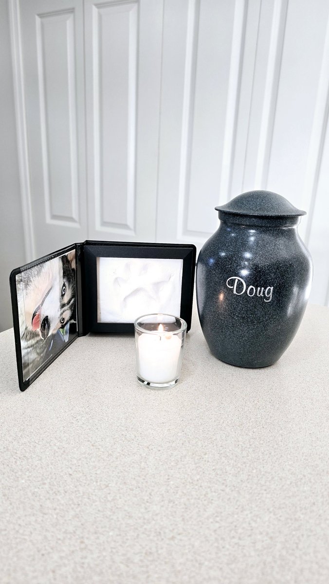 Enriqu3A's tweet photo. I just got my doggie’s ashes &amp; paw print…😭💔
 My baby is home again
Love u, Doug 🐺🐾🩶🌈 https://t.co/snV32mC4MR