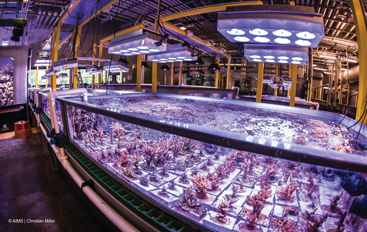 🔬 At SeaSim, precision is key! Our advanced systems replicate complex ocean conditions to support world-leading marine research. Siemens PCS 7 helps us maintain accurate and stable experimental conditions.

🌊 Learn more 👉 bit.ly/4bXg0w9 #SeaSim 

#MarineScience