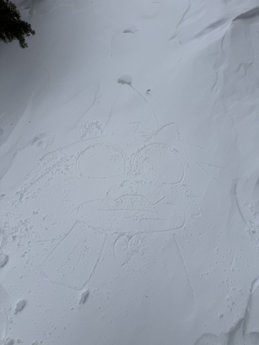 Mondi mondidraws.bsky.social tweet media