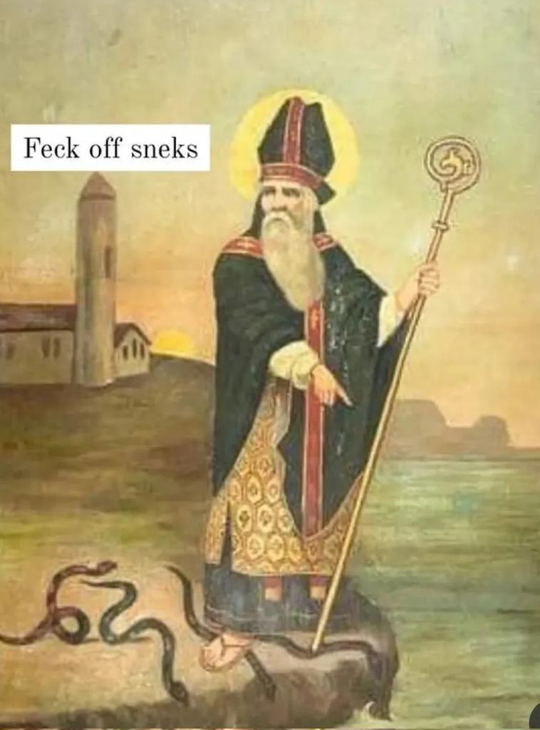 Fidelma Flynn 🕷️🍷💉 tweet media