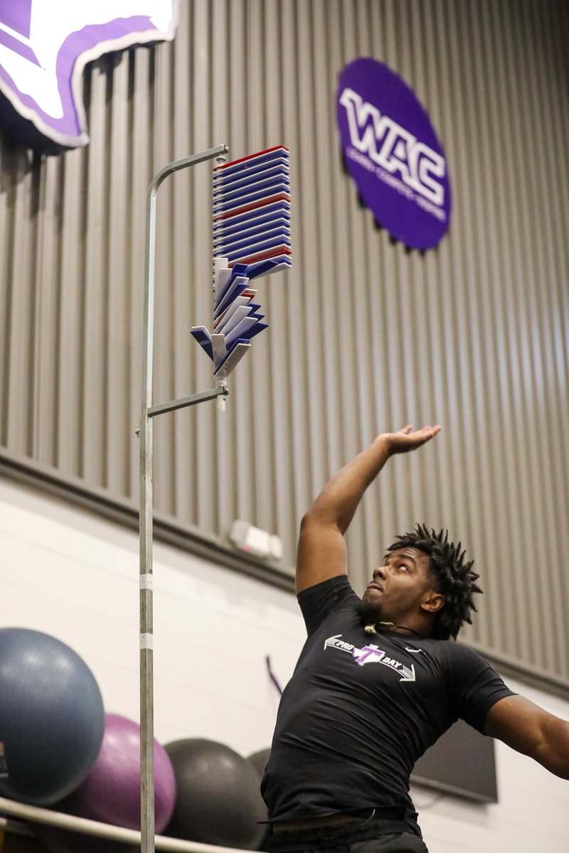 ⭐️ Pro Day ⭐️