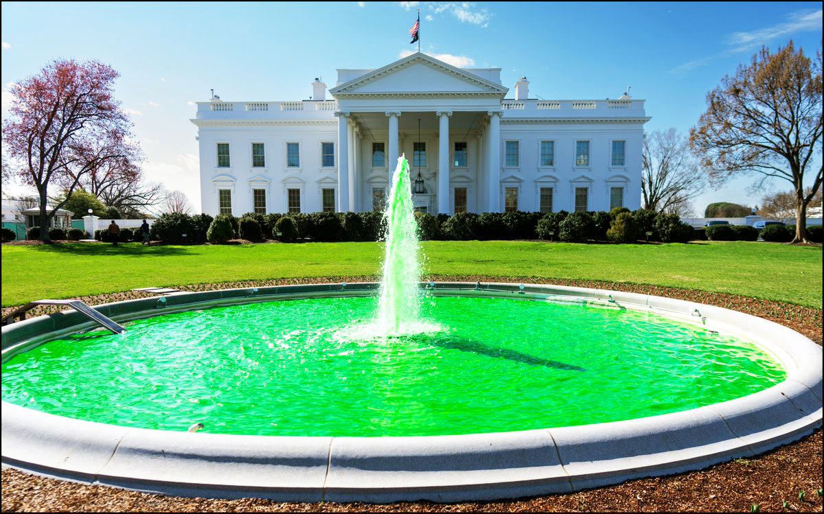 il Donaldo Trumpo tweet media