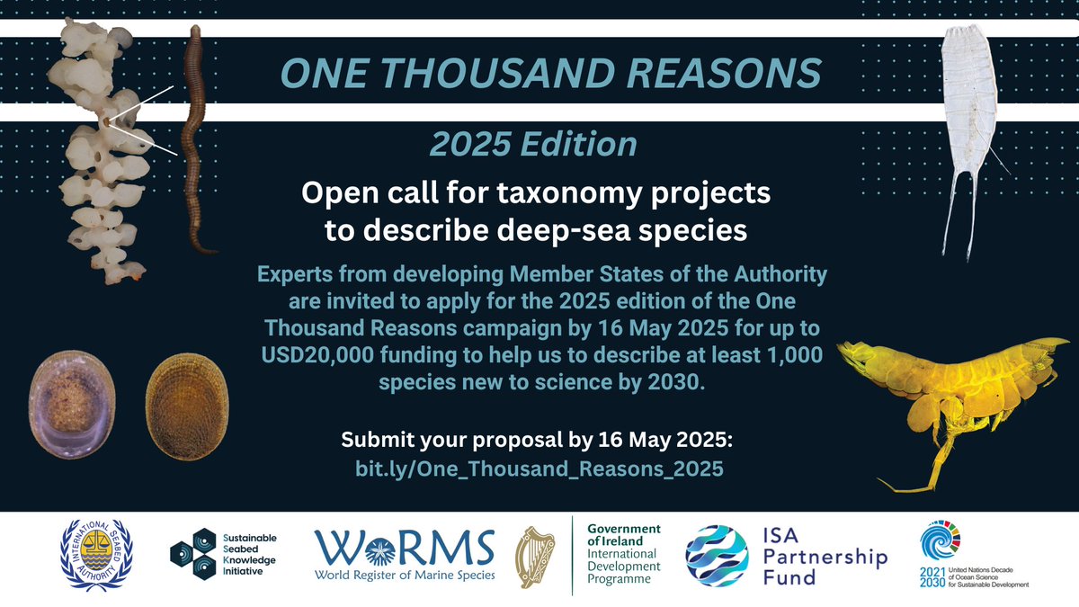 🚀 The 2025 edition of the One Thousand Reasons campaign is here, in collaboration with
<a href="/WRMarineSpecies/">WoRMS</a> and the government of Ireland!  
 
🔗 Read more: bit.ly/3DLWVk5 

#MarineScience #Taxonomy #DeepSea #Ireland