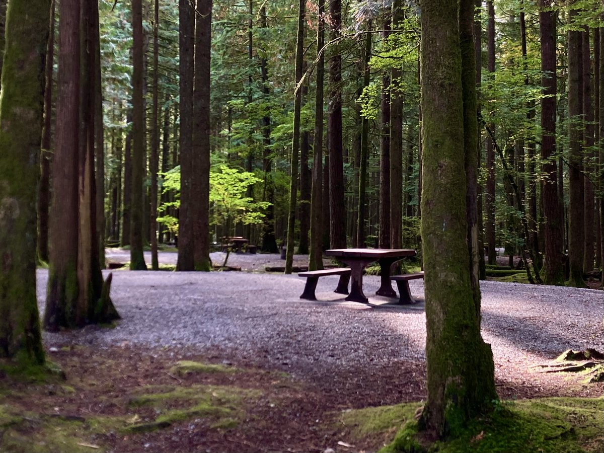 AlouetteParks's tweet photo. We are happy to announce that full vehicle access to Golden Ears Provincial Park is now restored!

We are thrilled to see everyone back in the park! Please remember to practice both front and back country etiquette when using outdoor spaces, and stay safe! https://t.co/oRfmXIHch5