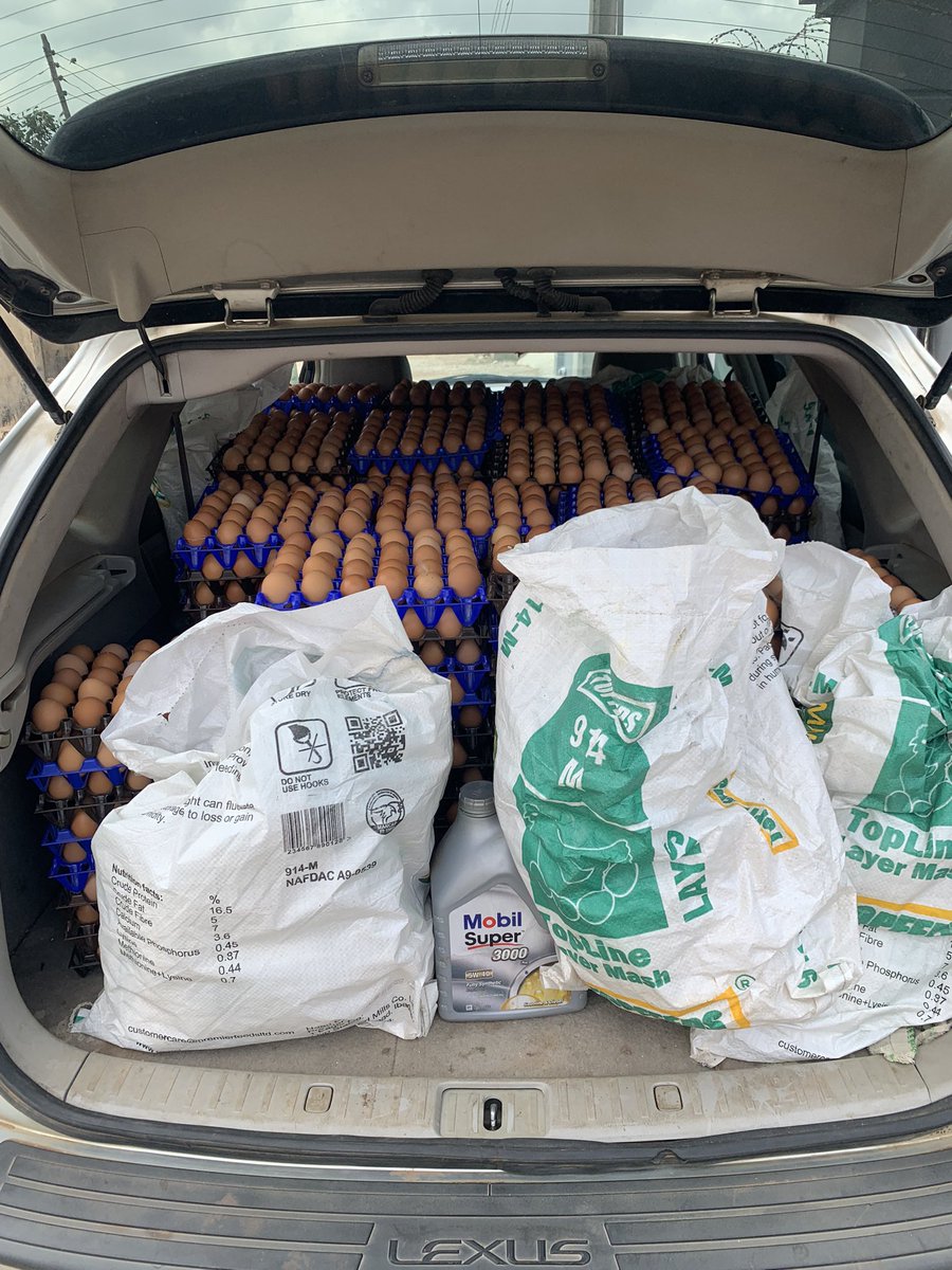 Official_mosope's tweet photo. I sell a crate of egg for N5,000,
And the price can even go lower if you’re buying a lot. https://t.co/GCVJyyKjJ4
