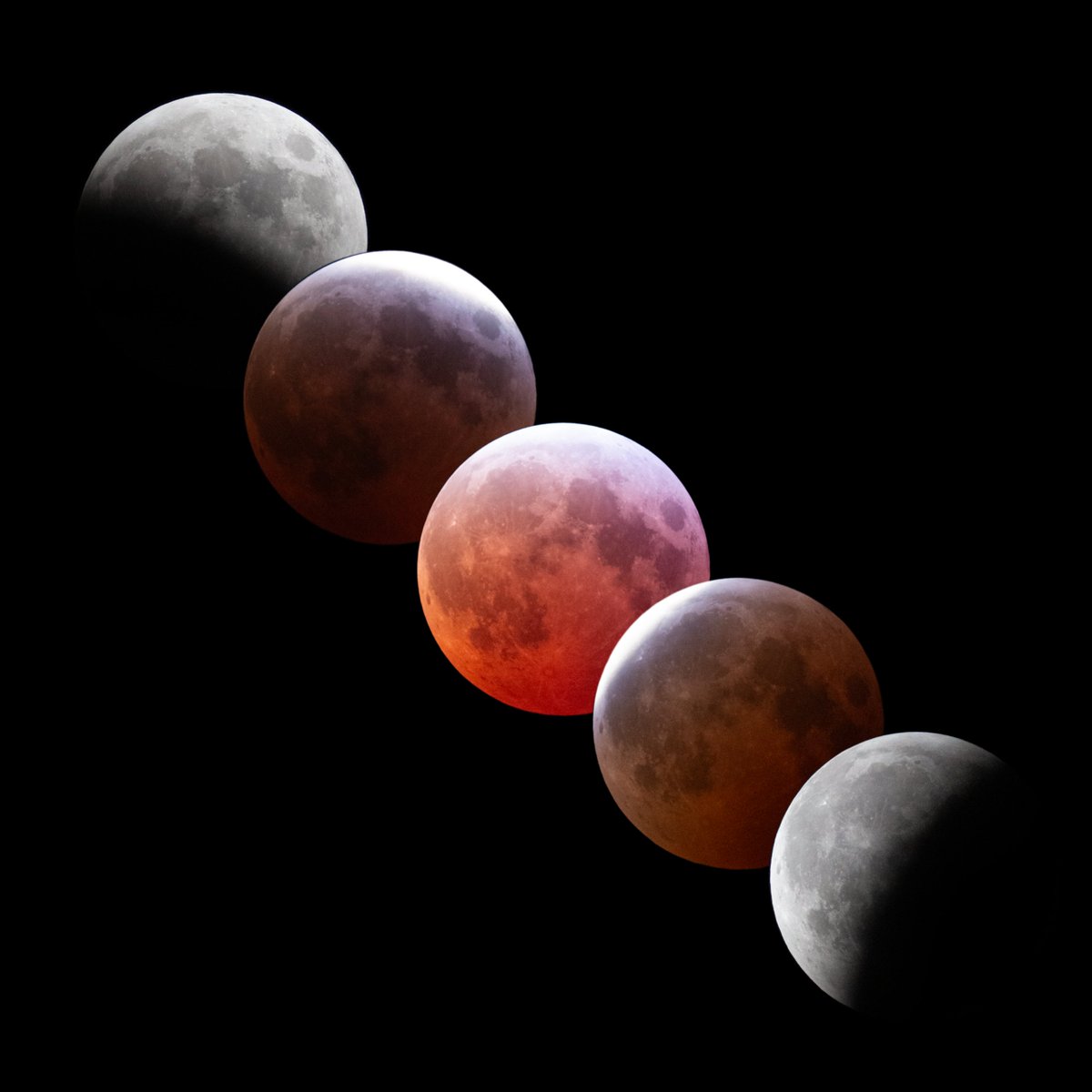 Did you catch last week's blood moon? Don't worry if not, graduate student Imran Sultan has you covered 🌝 

The blood moon was visible during a total lunar eclipse, when Earth cast its shadow over the moon.