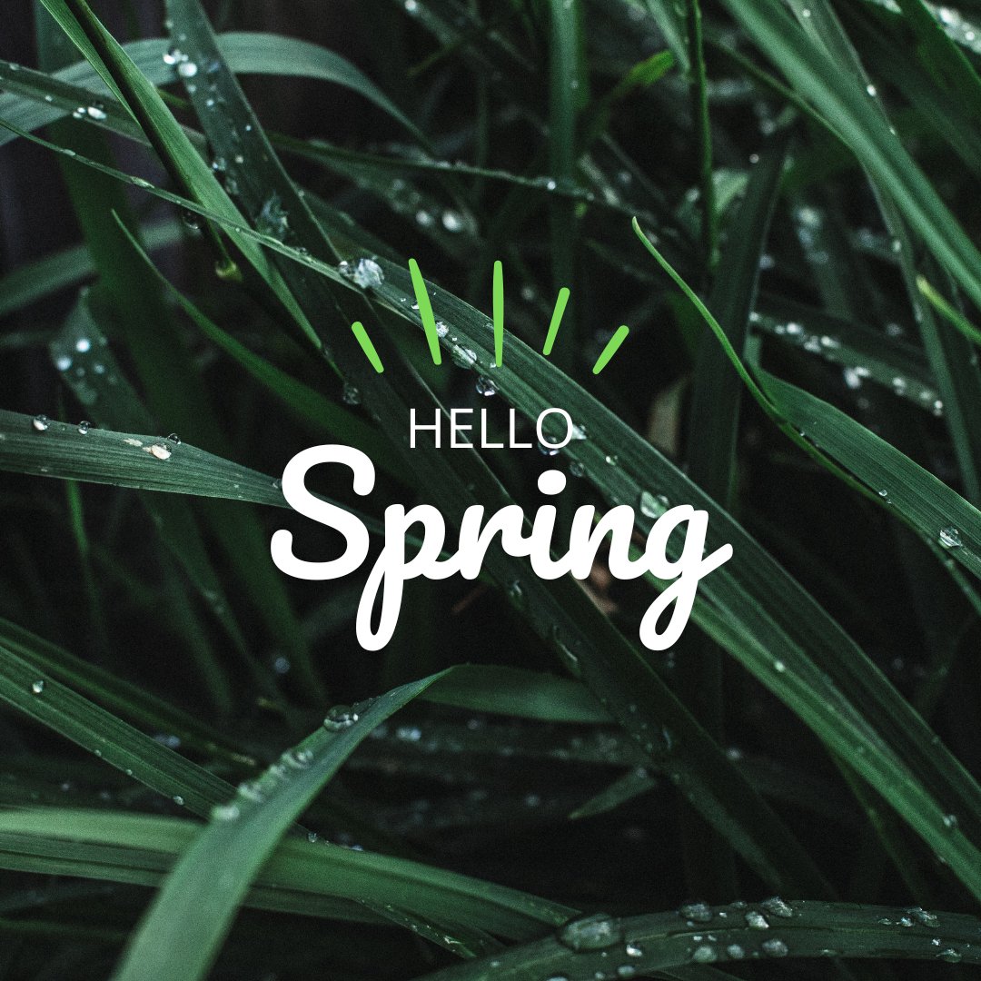 Spring is Here!

Just as nature blooms, so do opportunities for learning and progress. 

Let’s embrace fresh starts, bright ideas, and the growth ahead—both in our communities and in education! 🌷

What’s your favorite part of spring? Drop it below! 

#HelloSpring #NewBeginnings