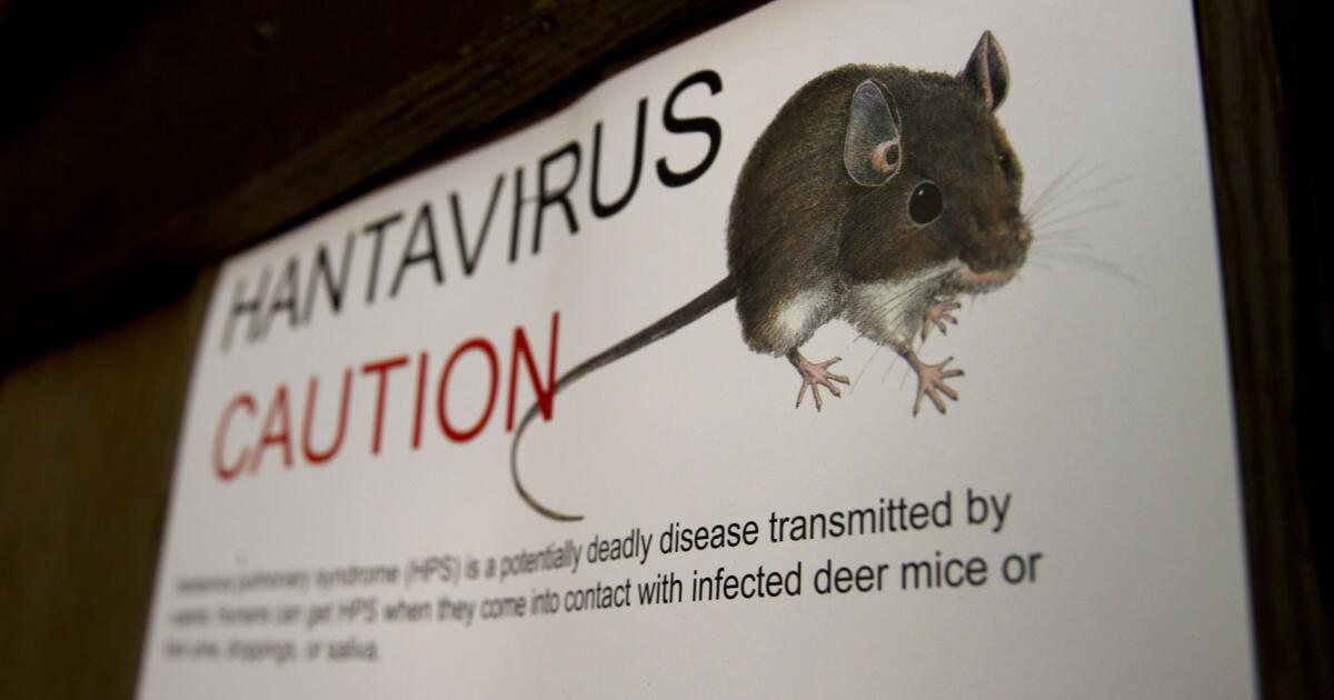 hoydia's tweet image. 💔 ¿Cuáles son los síntomas del cáncer? La pérdida de peso inexplicada, fatiga constante y dolor persistente son algunos signos a tener en cuenta. No olvides consultar a un profesional de salud para un diagnóstico adecuado. 🌟 #ConocimientoEsPoder trib.al/oWrUflV