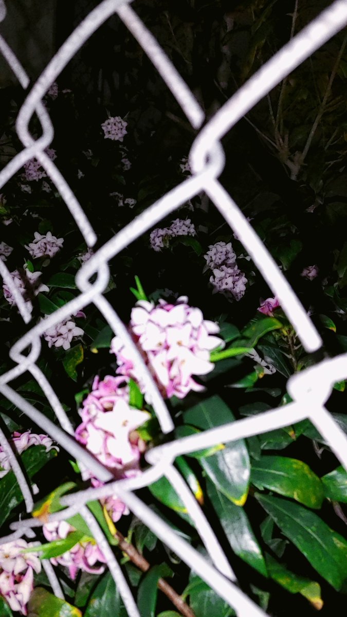 全部大丈夫になりたい