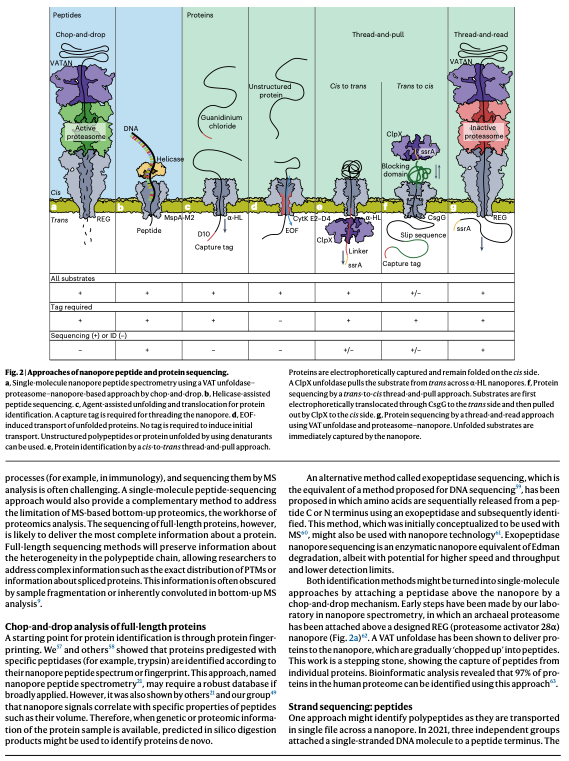 NikoMcCarty's tweet photo. This is a great review on using nanopores to sequence proteins. Out today.

It covers how nanopores work, why they haven't historically been able to sequence individual proteins, and how researchers are adapting them to solve those problems.

Clear writing throughout. https://t.co/2jMgtfwYLN
