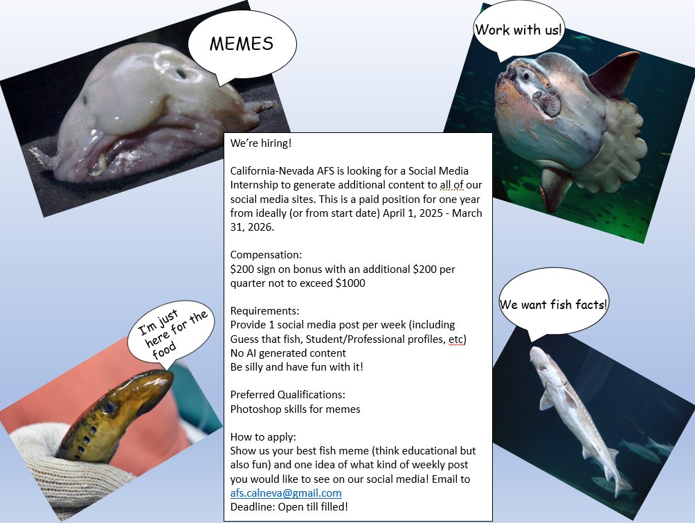 We need you! Have you noticed a dip in our social media content since Lily left? That's because it's just been me (Miranda Past President) &amp; we would love your skills. We are offering another science communication scholarship to help run our social media!  #calnevaafs #fisheries