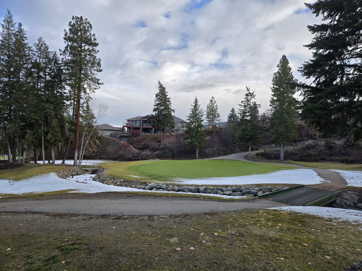 Greg Austin tweet media