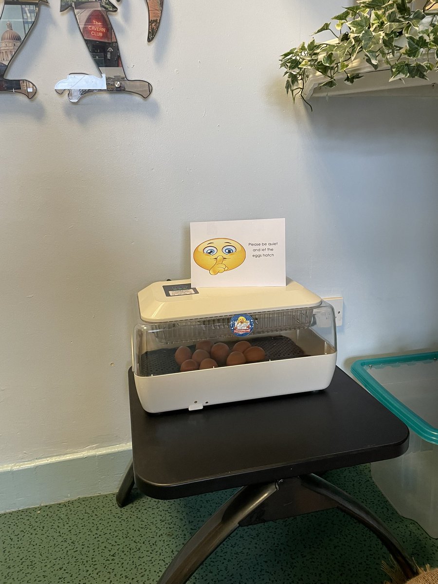 St Finbar's Primary tweet media