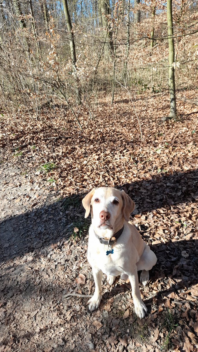 Ich hatte einen schönen Tag!!!