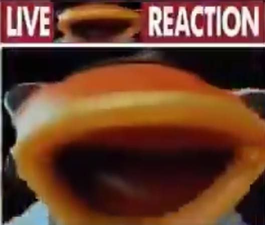 playin fortnite with followers on stream!!!

come join :3

norf.dog