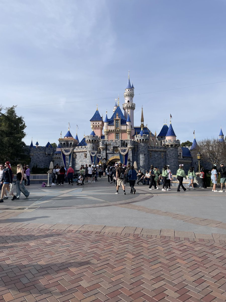 📀ＳＱＵＩＳＨ　ＨＯＵＮＤ📀 tweet media