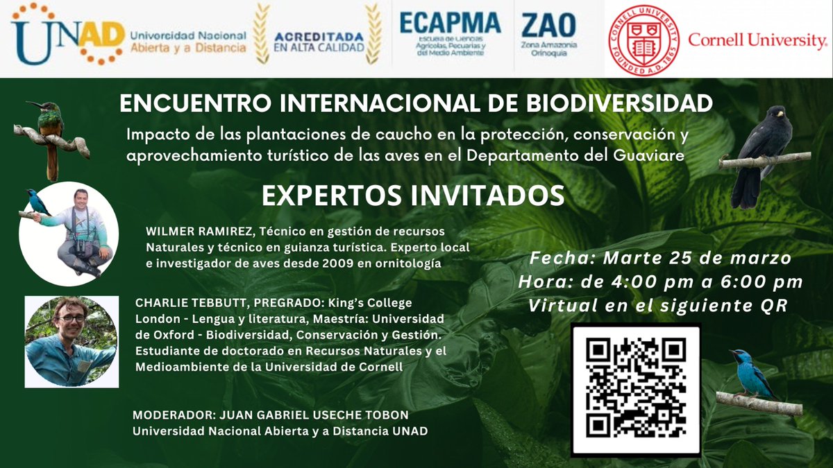 🌿✨ ¡No te pierdas el Encuentro Internacional de Biodiversidad! ✨🌿

📢 Hablaremos sobre el impacto de las plantaciones de caucho en la protección, conservación y aprovechamiento turístico de las aves en el Departamento del Guaviare. 

🔗 Únete escaneando el QR en la imagen