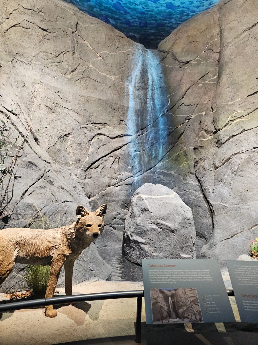 My trip to Palm Springs was Cool