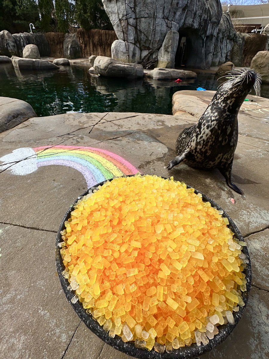 Saint Louis Zoo tweet media
