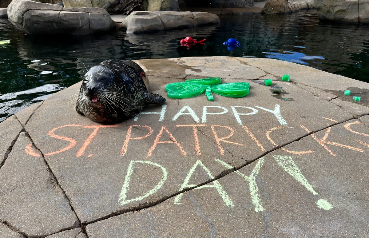 Saint Louis Zoo tweet media