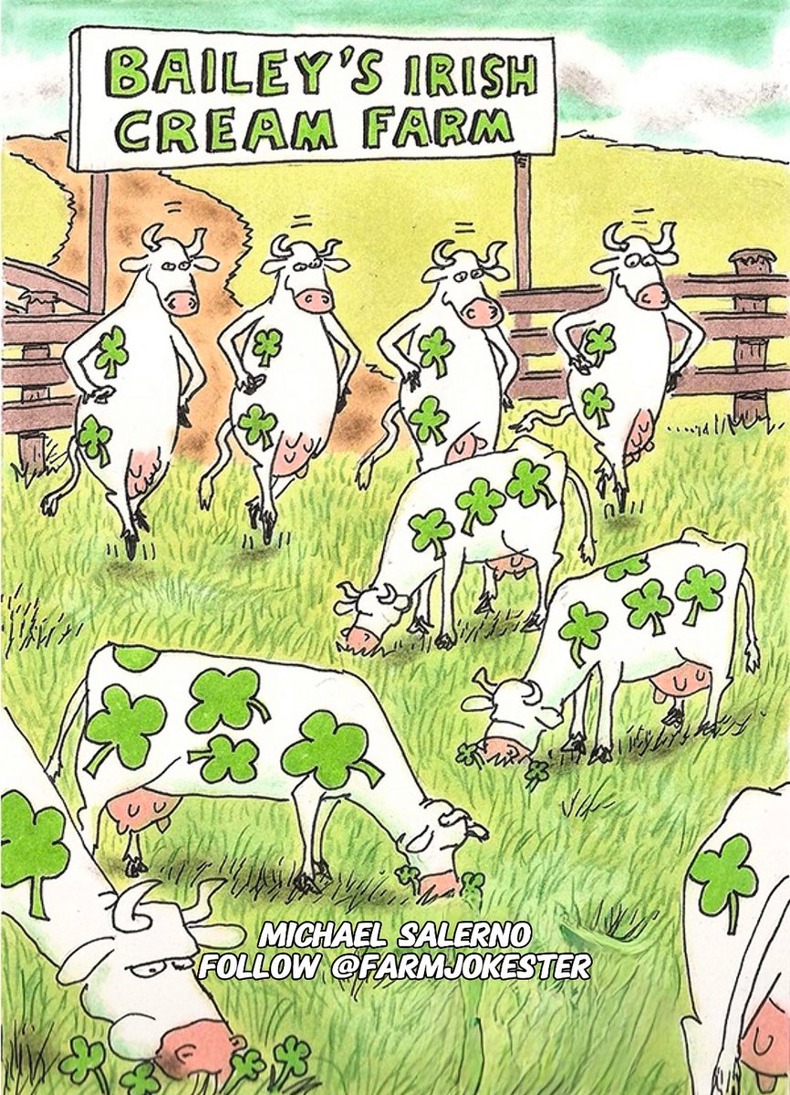 FarmJokester's tweet photo. It all starts with Irish Cows ☘️
#happystpatricksday #stpatricksday #stpaddysday #saint #patrick #irish #irish_daily #luck #luckoftheirish #leprechaun #greenbeer #clover #fourleafclovers #green #chickens #cow https://t.co/z8I7FPkpSV