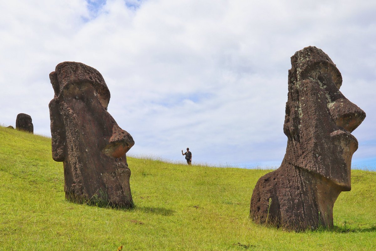 Ron Lion tweet media