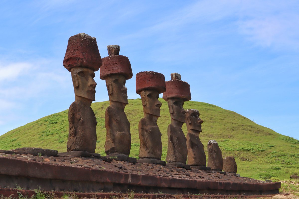 Ron Lion tweet media