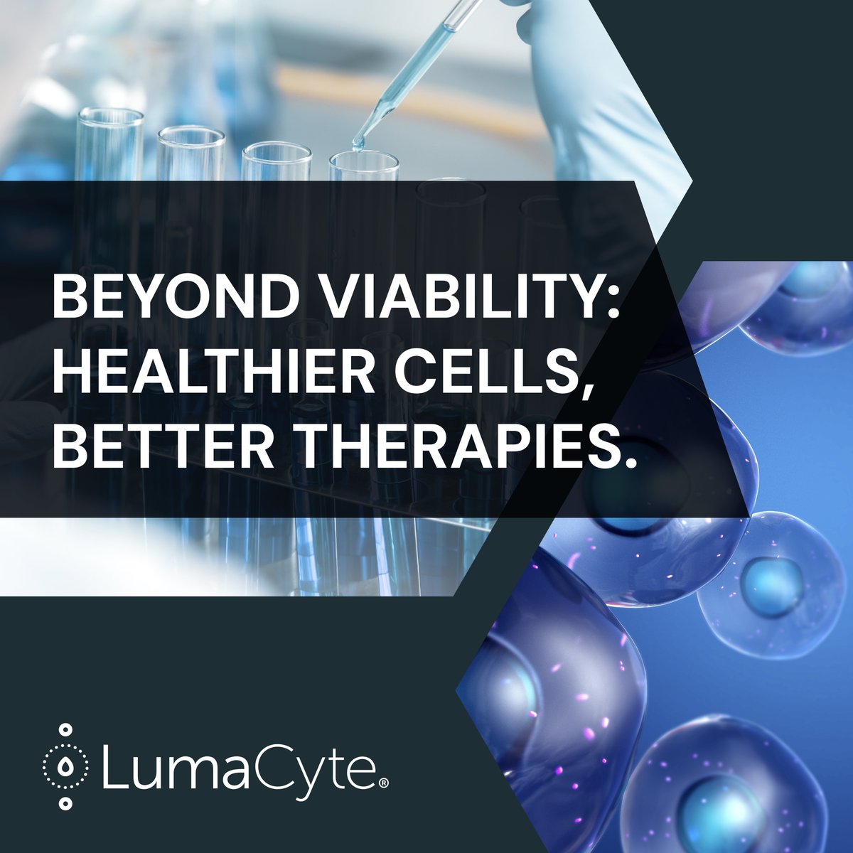 Beyond Viability: Healthier Cells, Better Therapies.
What if cell health wasn’t just viable, but optimal? Discover how advanced technologies are reshaping cell therapy by redefining viability. Dive into the future of healthier, more robust cells: lumacyte.com/applications/c…